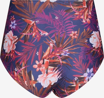 Swim by Zizzi Bikini bottom 'TANIA' in Purple