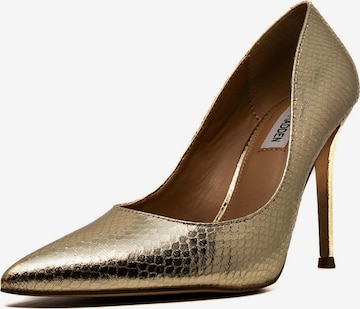 STEVE MADDEN Pumps 'Evelyn ' in Gold: front