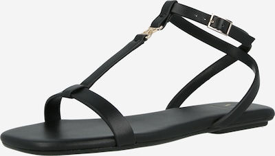 ARMANI EXCHANGE Remmisandaalit 'TINA' värissä musta, Tuotenäkymä