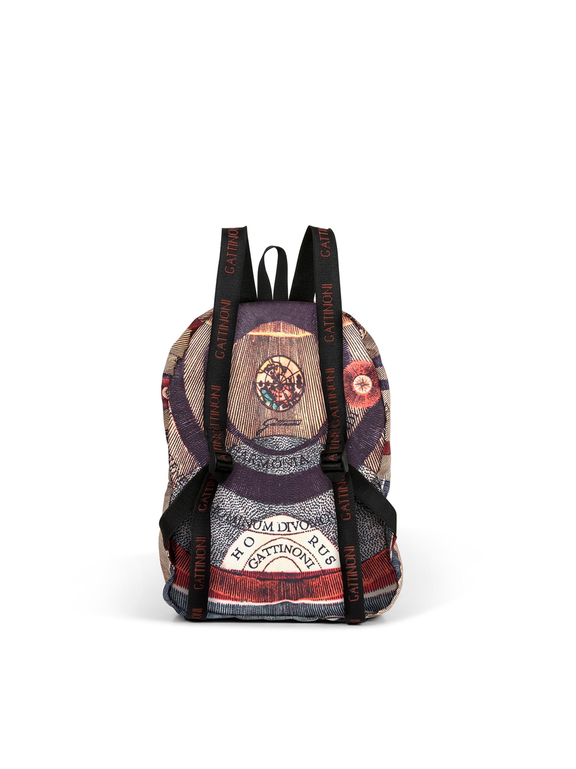 Gattinoni Rugzak in Gemengde kleuren
