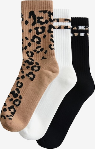 Calzino di Next in marrone: frontale