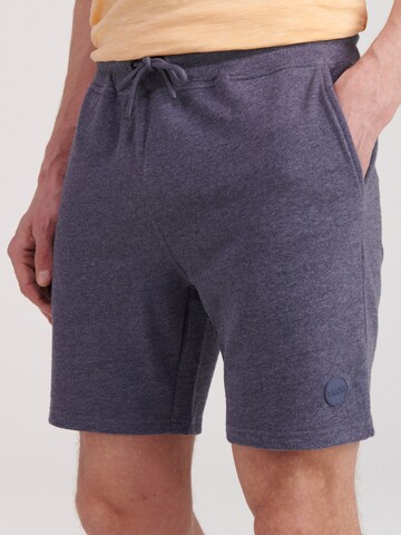 Regular Pantalon Shiwi en gris