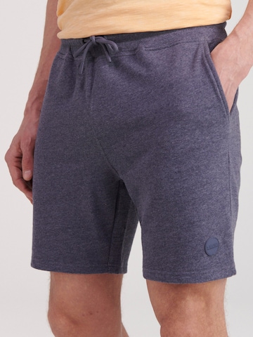 Shiwi Regular Pants in Grey