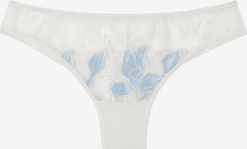 INTIMISSIMI Panty 'ETERNAL FLOWERS' in Grey: front