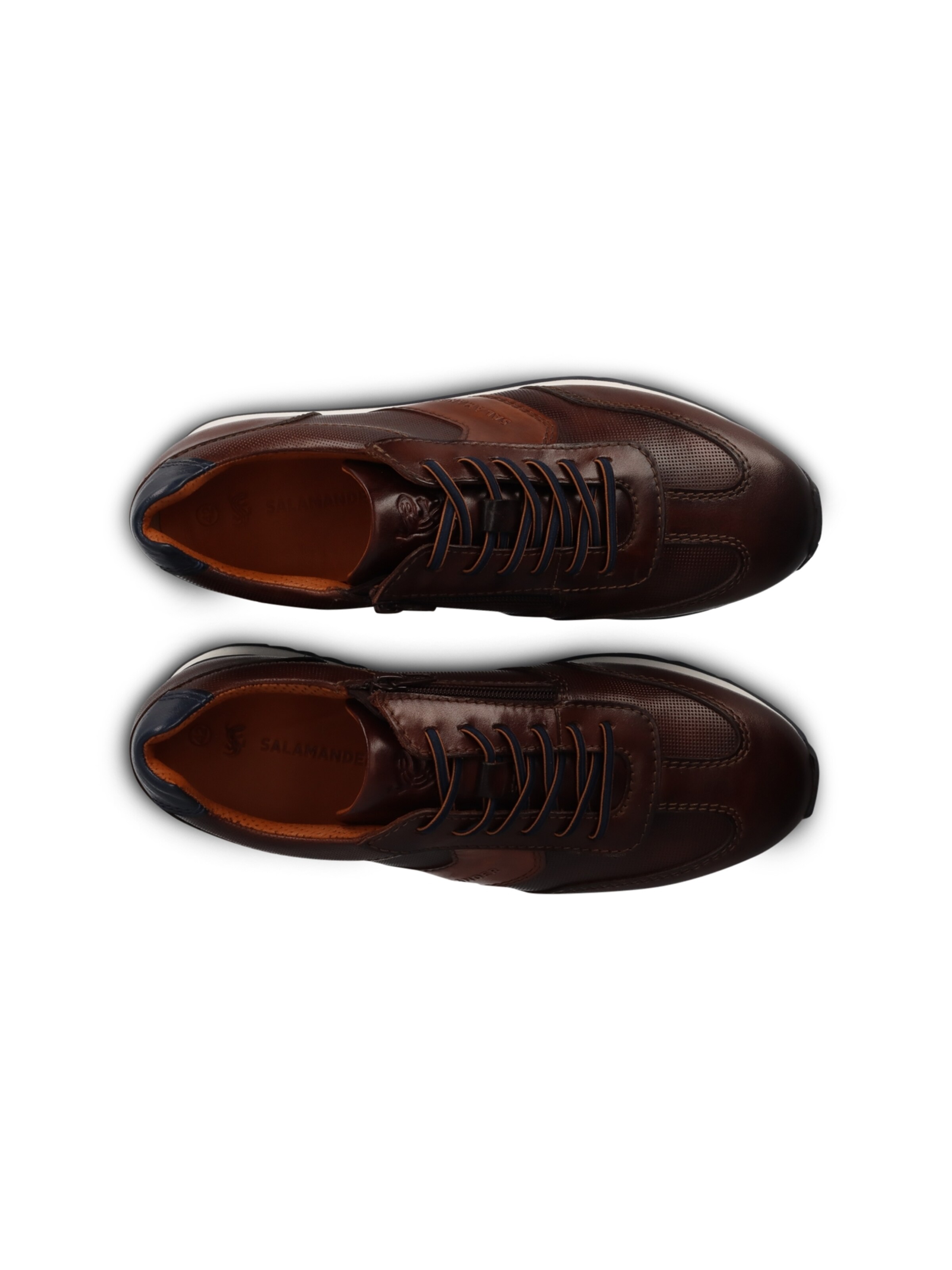 SALAMANDER - Sapatilhas baixas em castanho