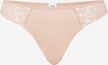 CALIDA Thong in Pink: front