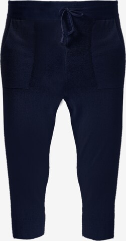 Felix Hardy - Skinny Pantalón deportivo en azul: frente
