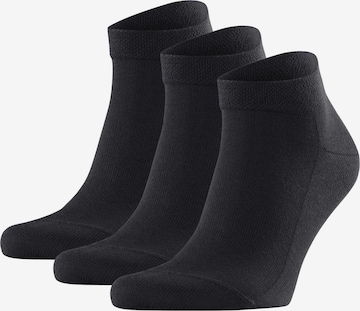 FALKE Socks in Black: front