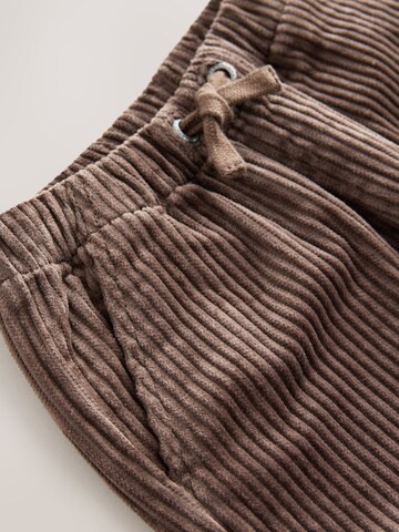 regular Pantaloni di Next in marrone