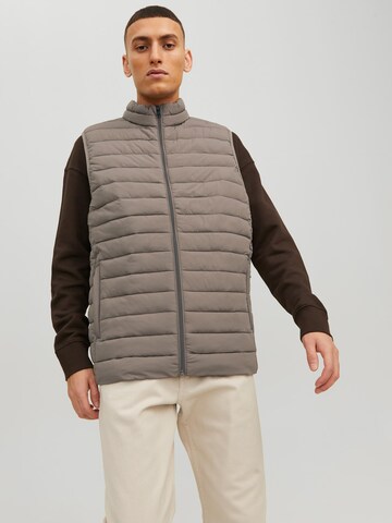 JACK & JONES Bodywarmer in Beige: voorkant