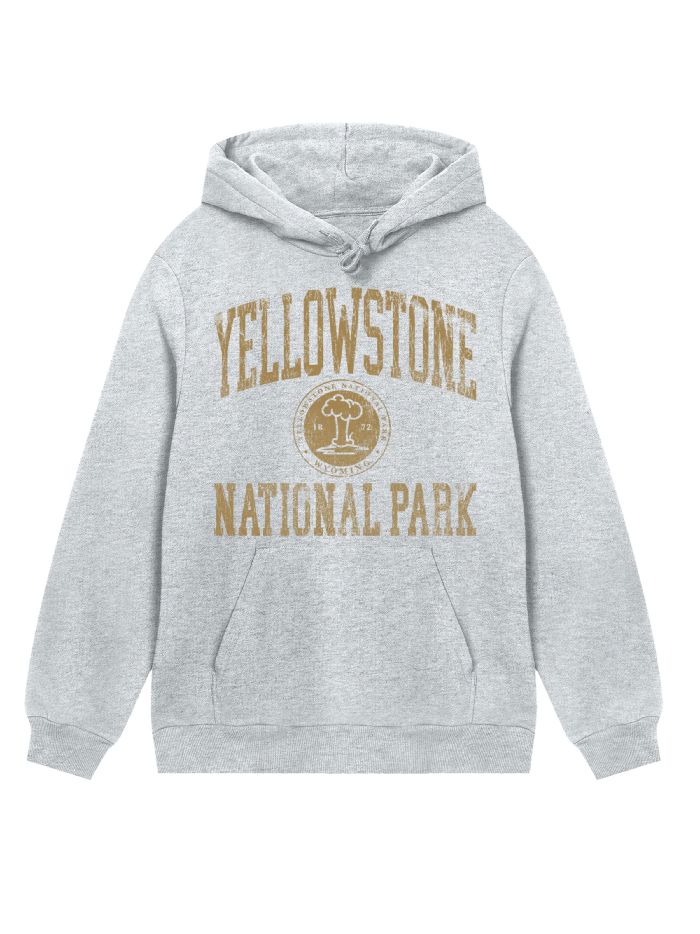 F4NT4STIC Sweatshirt in Grey: front