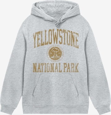 F4NT4STIC Sweatshirt in Grey: front