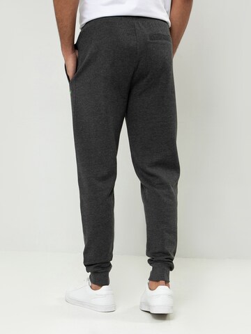 Regular Pantalon 'Trifoliate' Threadbare en gris