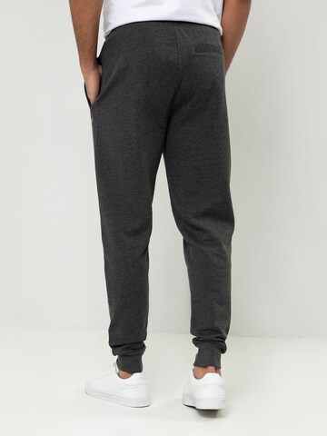 Threadbare Tapered Hose 'Trifoliate' in Grau