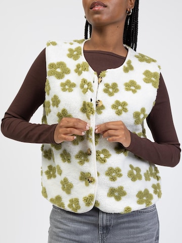 BROKE + SCHÖN Knitted Vest 'Teddy' in Green