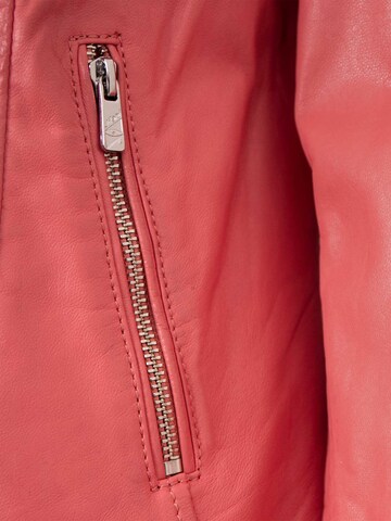 Jilani Tussenjas 'Fulya' in Oranje