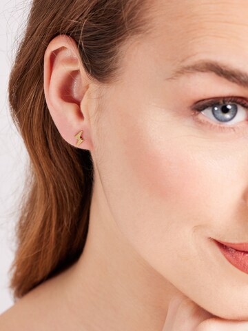 Boucles d'oreilles Lucardi en or : devant