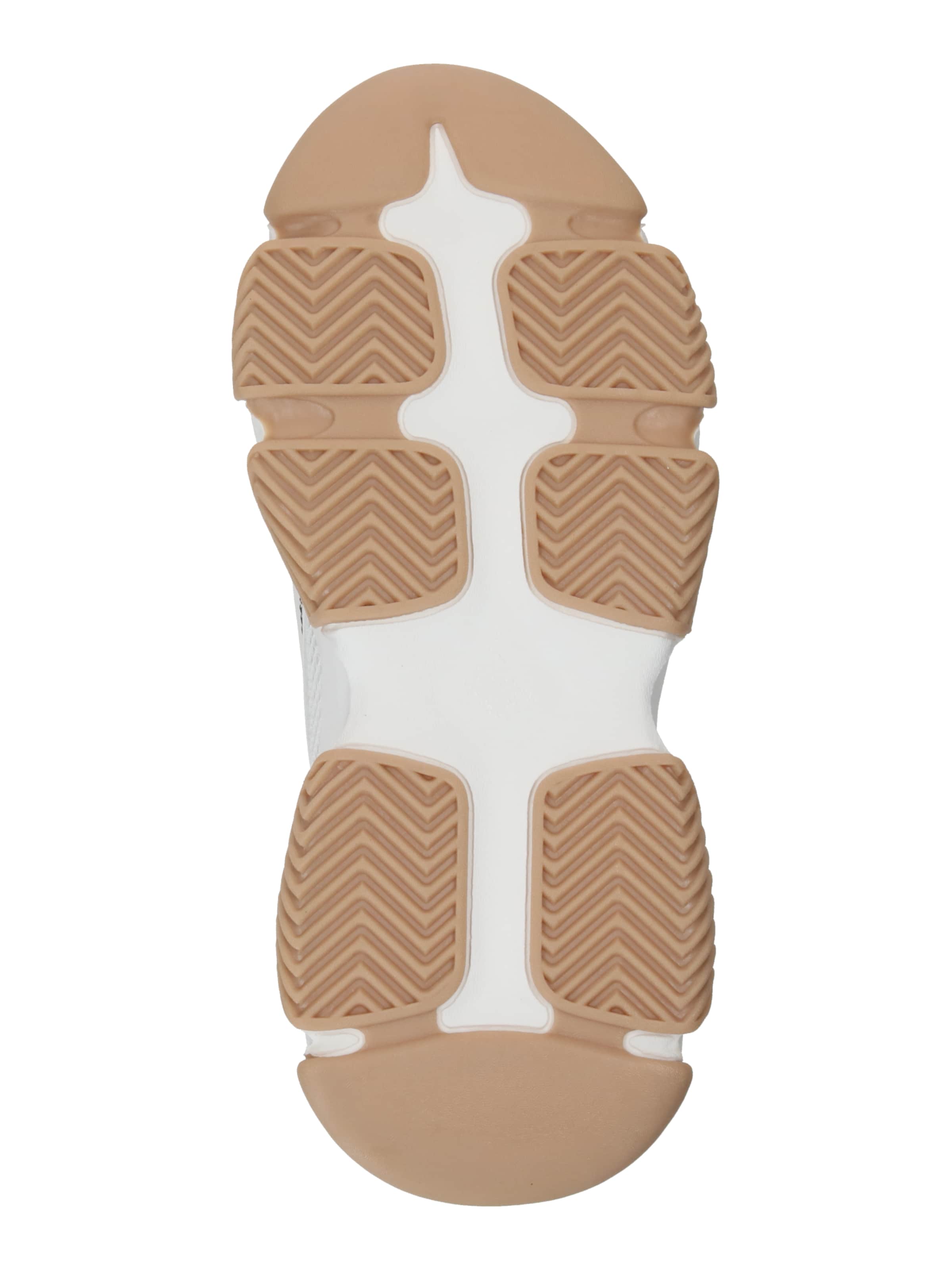 STEVE MADDEN Nizke superge 'Possession' | bež barva