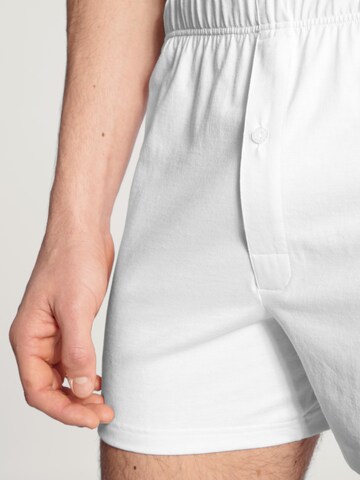 CALIDA Boxer shorts 'Cotton Code' in White