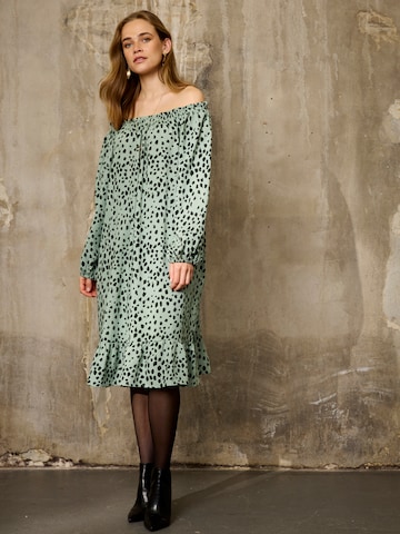 ze-ze Kleid 'Relly 027' in Grün