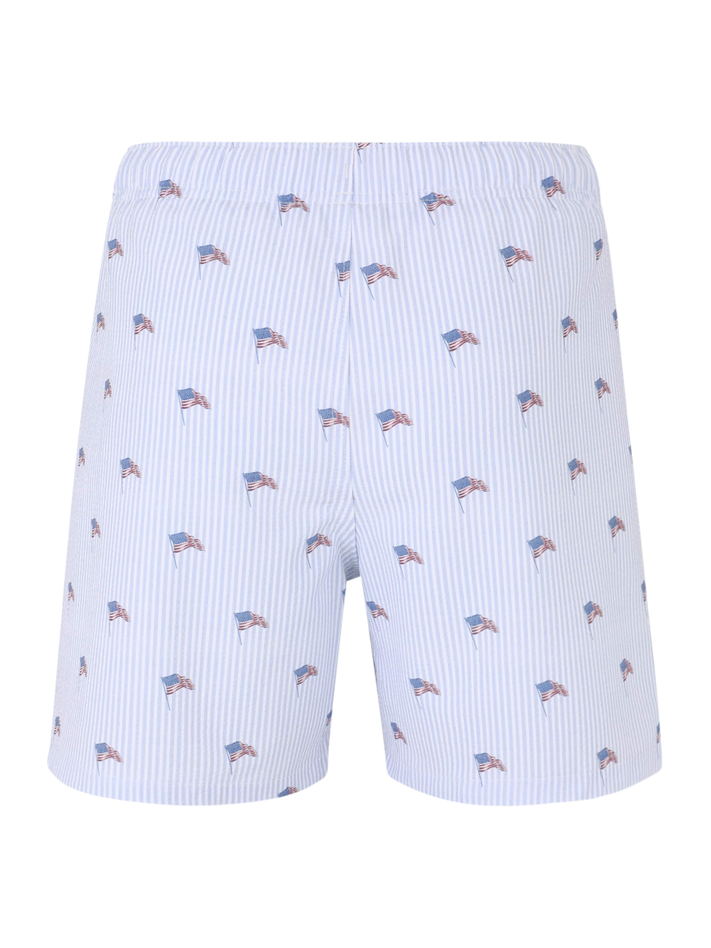 Boxer di HOLLISTER in blu