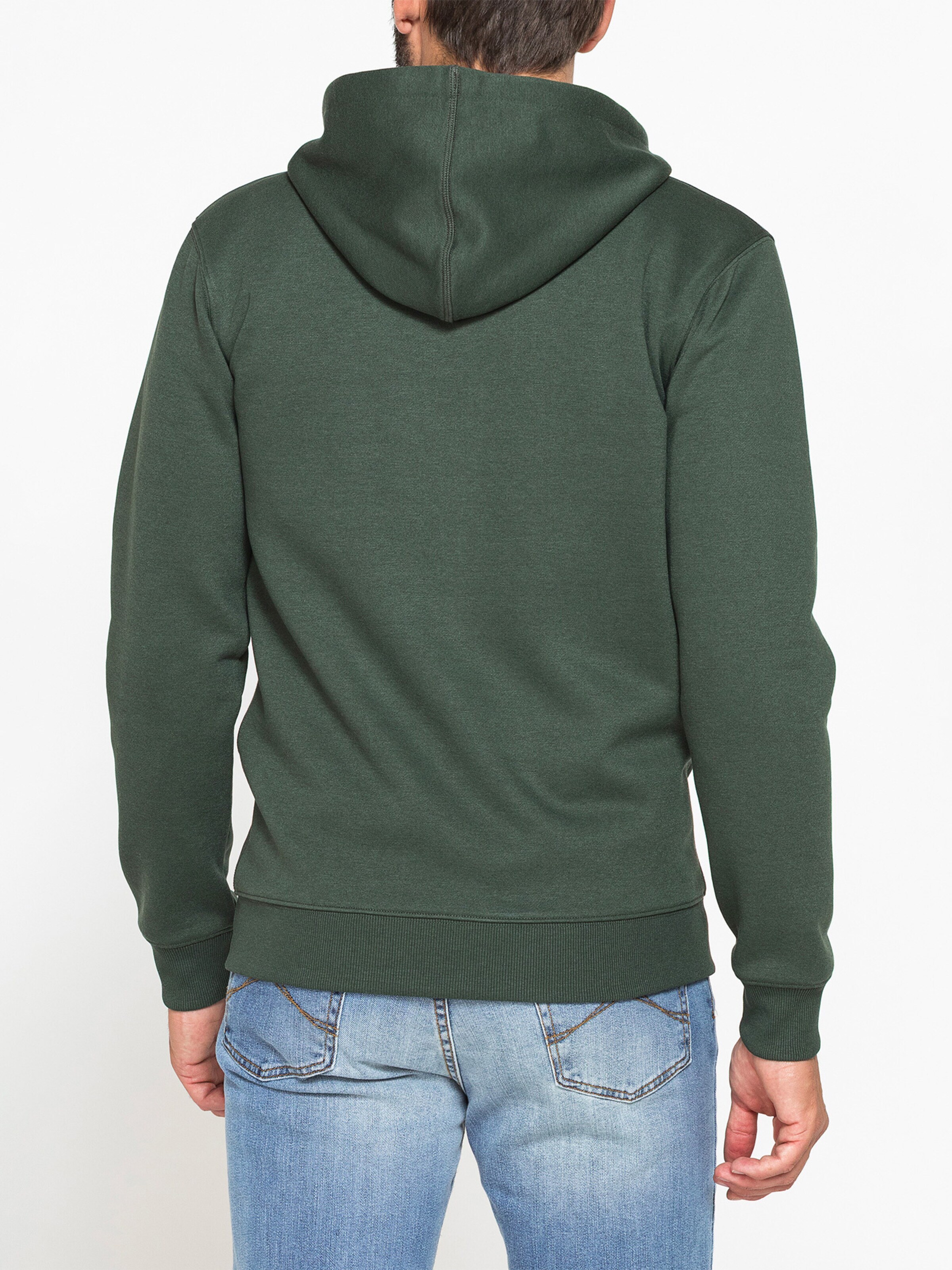 Carrera Jeans Sweatshirt 'Hood'‌‌‌‌‌ in Grün