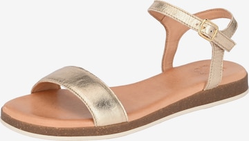 Apple of Eden Strap Sandals ' ISA ' in Silver: front