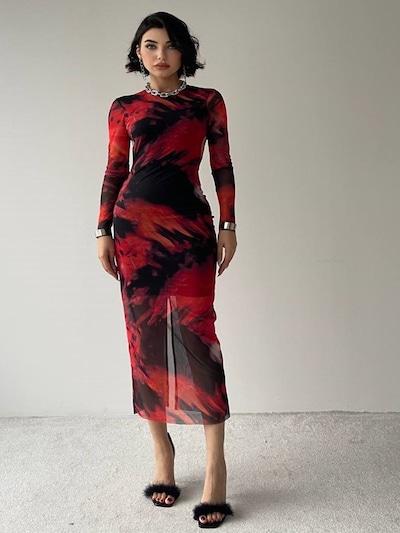 WOMAN VISION Dress in 36 in Red / Black, Item view