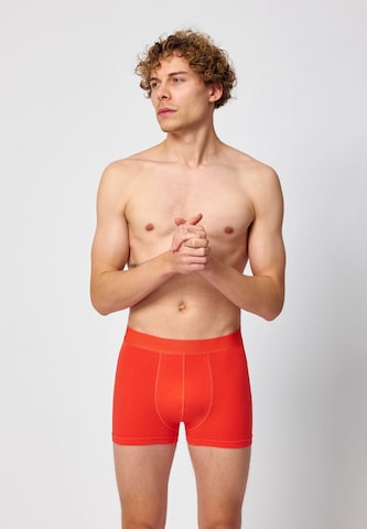 SNOCKS Boxershorts in Orange