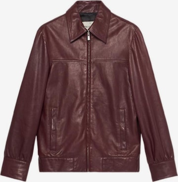 Trussardi - Chaqueta de entretiempo en marrón: frente