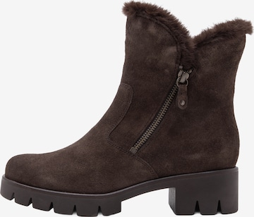 Bottines GABOR en marron : devant