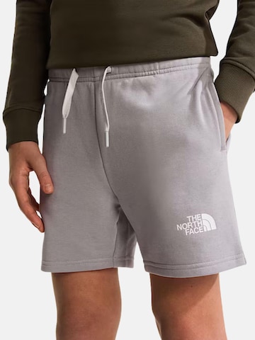 Regular Pantalon 'THE NORTH FACE kids TEEN SIMPLE DOME LT SHT PANTALOCINO' THE NORTH FACE en gris