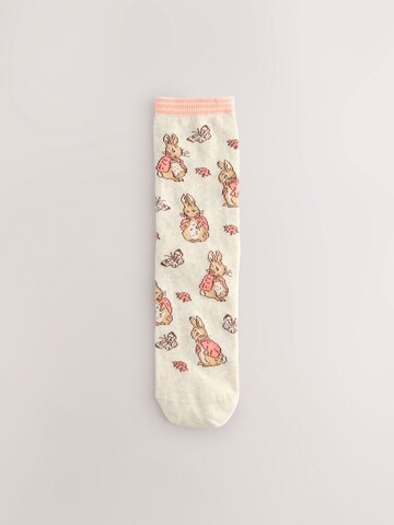 Next Socks in Beige