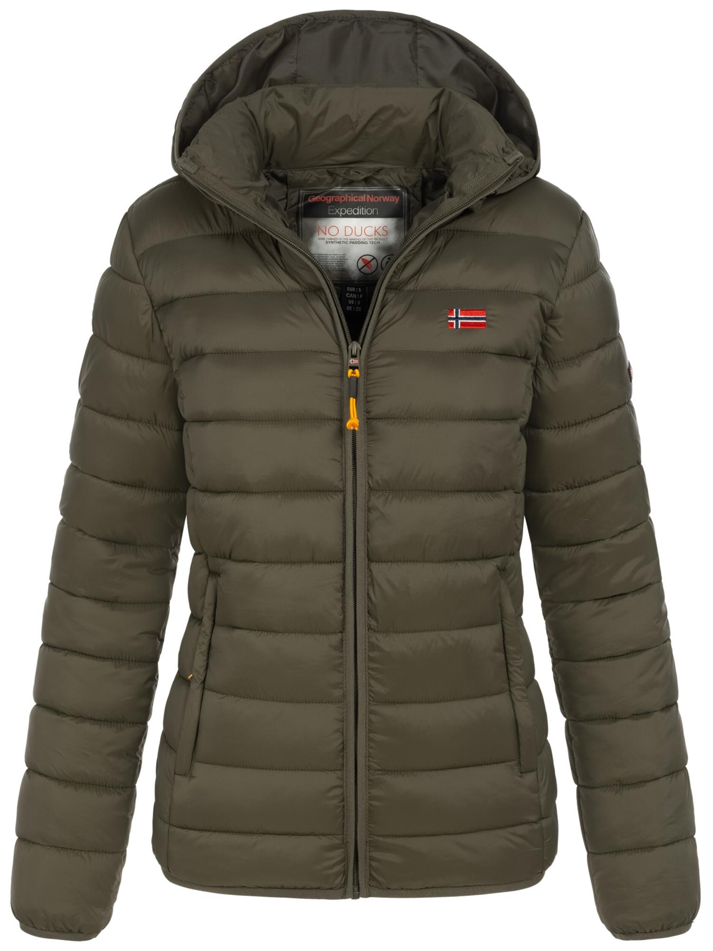 GEOGRAPHICAL NORWAY Winter Jacket 'Damen Herbst Winter Jacke Steppjacke Outdoor Übergangs leicht Kapuze' in Green: front