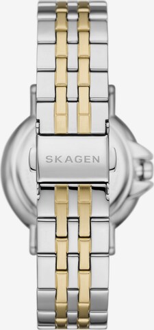 SKAGEN Analog Watch in Mixed colors