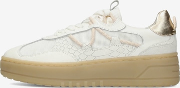 PS Poelman Sneaker 'Anemone' in Weiß: Vorderseite