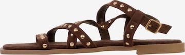 Joia Sandal 'Sandalen mit Riemchen' in Brown: front