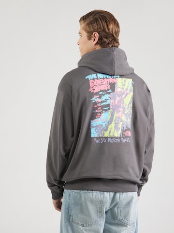 THE NORTH FACE - Sudadera 'U EXPEDITION CELEBRATION' en gris: frente