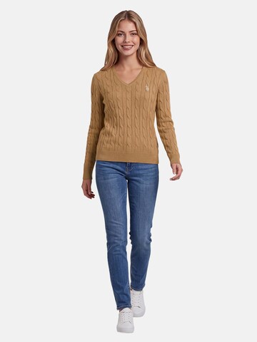 U.S. POLO ASSN. Sweater in Brown