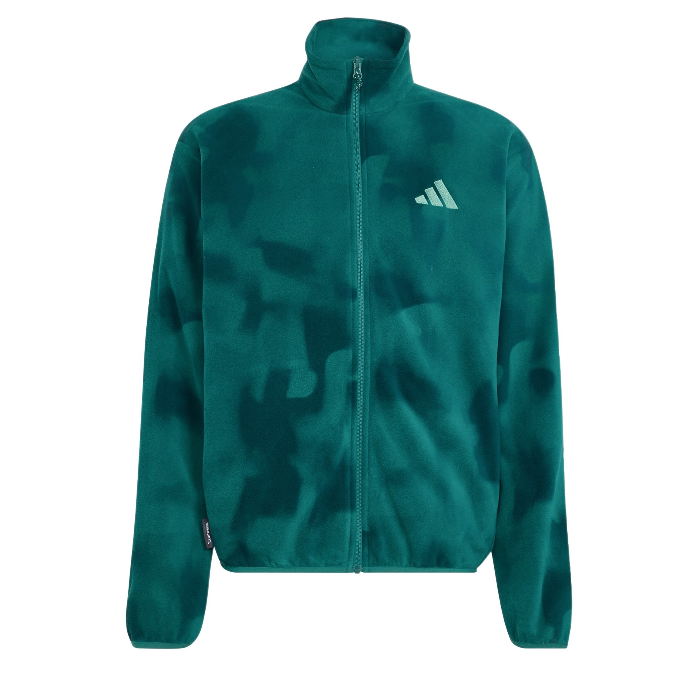 ADIDAS TERREX - Casaco de velo funcional em verde: frente
