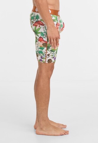 PSD Boxershorts in Gemengde kleuren