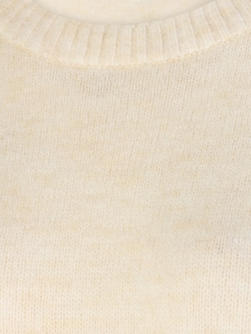 Selected Femme Petite Pullover 'LITTI' in Beige