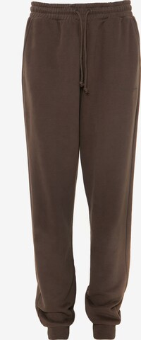 BIG STAR Tapered Pants 'Foxaner' in Brown: front