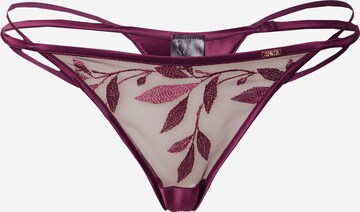 Tanga 'Domenica ' de la Hunkemöller pe mov: față