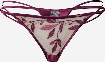 Hunkemöller Thong 'Domenica ' in Purple: front