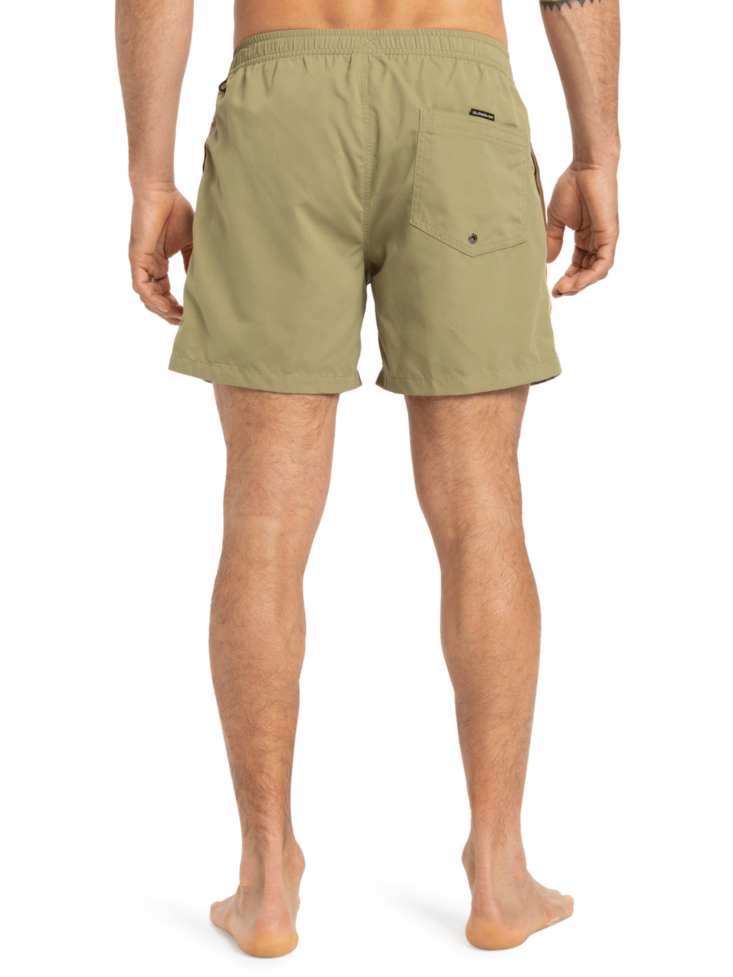 QUIKSILVER Regular Badeshorts 'Everyday Beach 15' in Grün