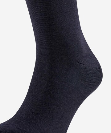 FALKE Socken in Blau