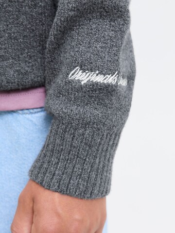 Jack & Jones Junior Tröja 'JORNorrebro' i grå