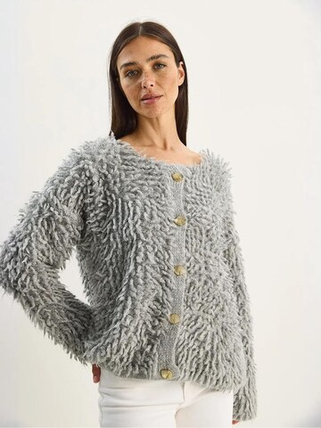 Bianco Lucci Gebreid vest in Grijs