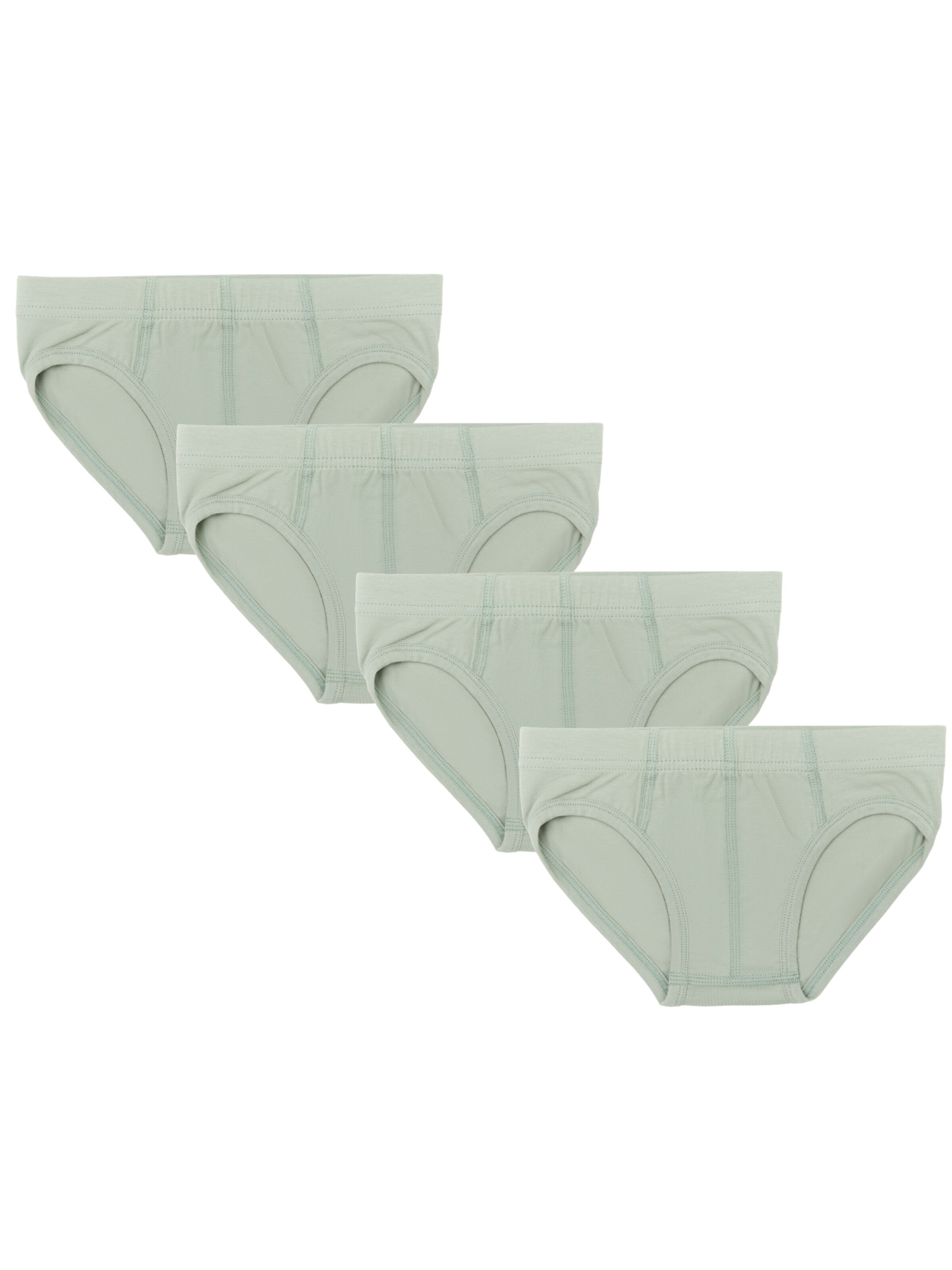 Albero Natur Underpants 'Bio-Baumwoll-Jungenslip-4er Pack' in Green: front